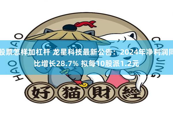 股票怎样加杠杆 龙星科技最新公告：2024年净利润同比增长28.7% 拟每10股派1.2元