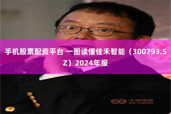 手机股票配资平台 一图读懂佳禾智能（300793.SZ）2024年报