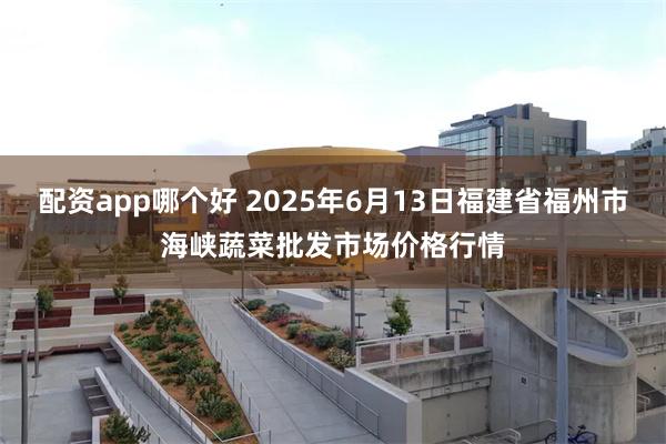 配资app哪个好 2025年6月13日福建省福州市海峡蔬菜批发市场价格行情